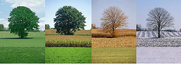 《使命召唤：战区2》全新预告公布 预载已开启