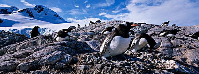 TGA官方入驻微博 12月13日上午8:30准时直播